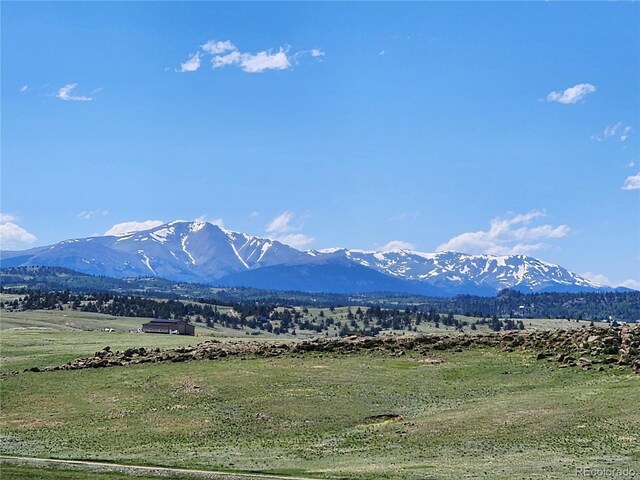 Park Ave, Hartsel, CO 80449