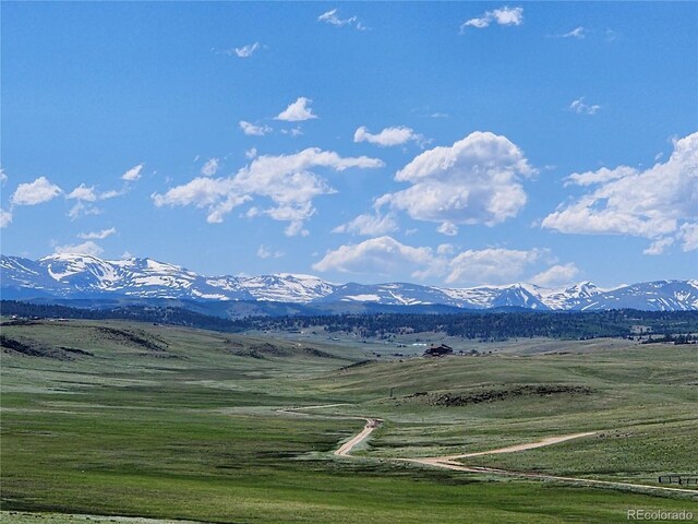 Park Ave, Hartsel, CO 80449