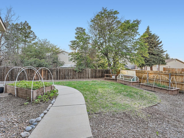 4063 S Cathay Ct, Aurora, CO 80013 - fenced backyard featuring a vegetable garden