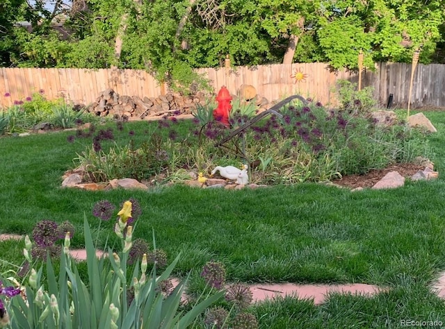 view of yard featuring a fenced backyard