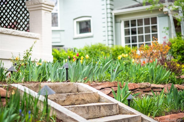 1220 S Vine St, Denver, CO 80210 - view of yard