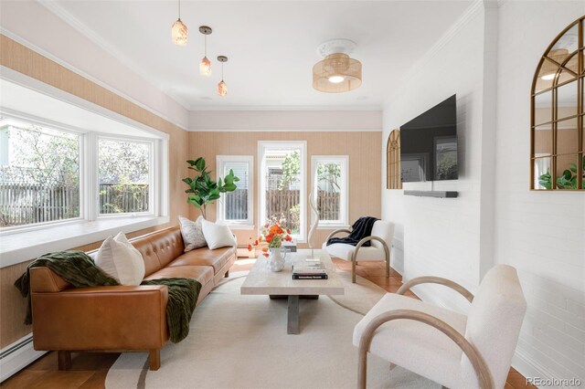 1220 S Vine St, Denver, CO 80210 - living room with a baseboard radiator and crown molding