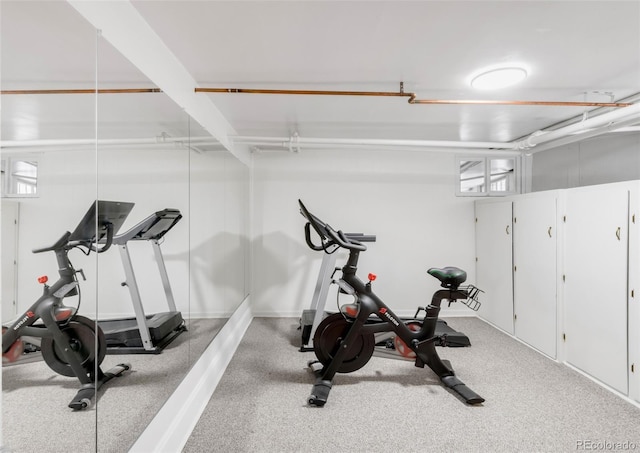 1220 S Vine St, Denver, CO 80210 - exercise room with baseboards
