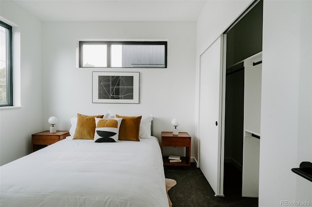 1601 Park Ave Unit 214, Denver, CO 80218 - bedroom featuring dark colored carpet and a closet