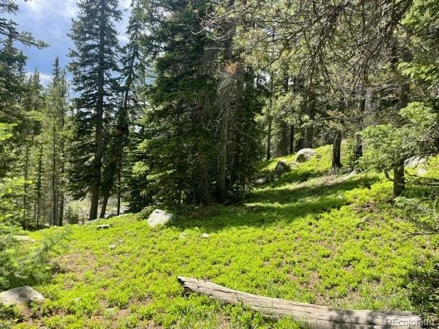 000 Lake Rd, Idaho Springs CO, 80452 land for sale