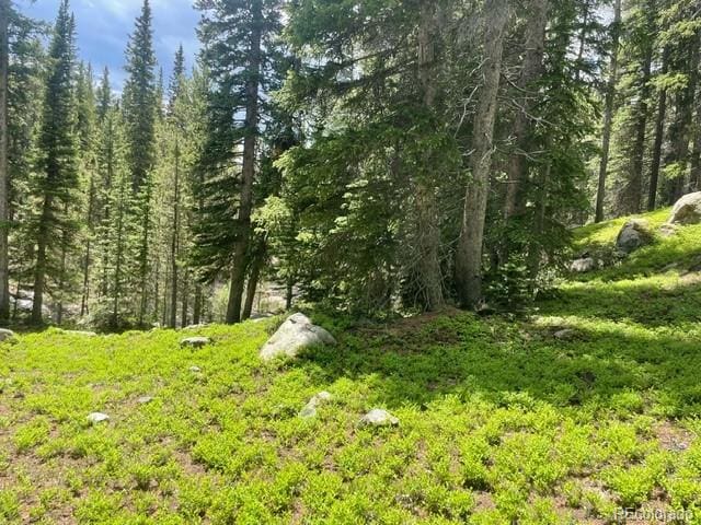 Listing photo 3 for 000 Lake Rd, Idaho Springs CO 80452