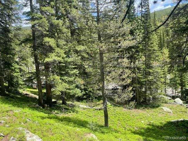 000 Lake Rd, Idaho Springs, CO 80452
