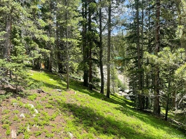 000 Lake Rd, Idaho Springs, CO 80452