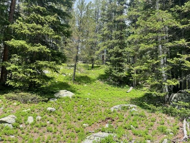 000 Lake Rd, Idaho Springs, CO 80452
