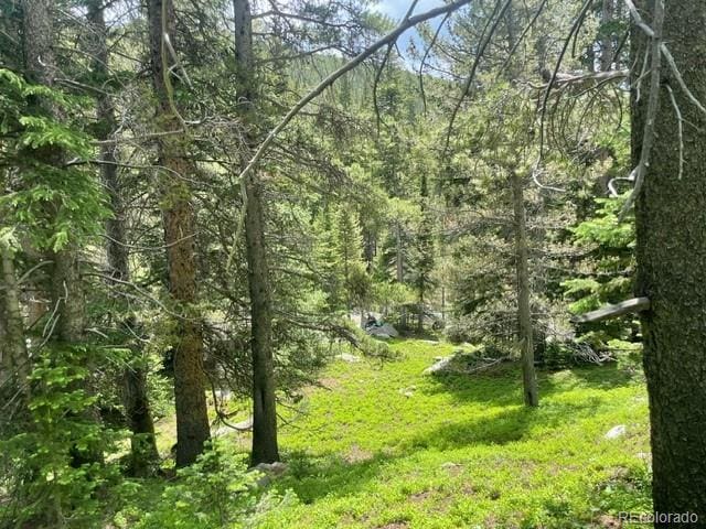 000 Lake Rd, Idaho Springs, CO 80452