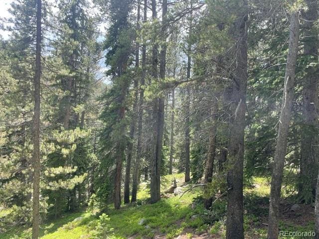 000 Lake Rd, Idaho Springs, CO 80452