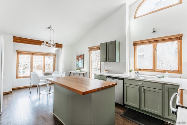 kitchen with a wealth of natural light, butcher block countertops, dark wood finished floors, and stainless steel dishwasher