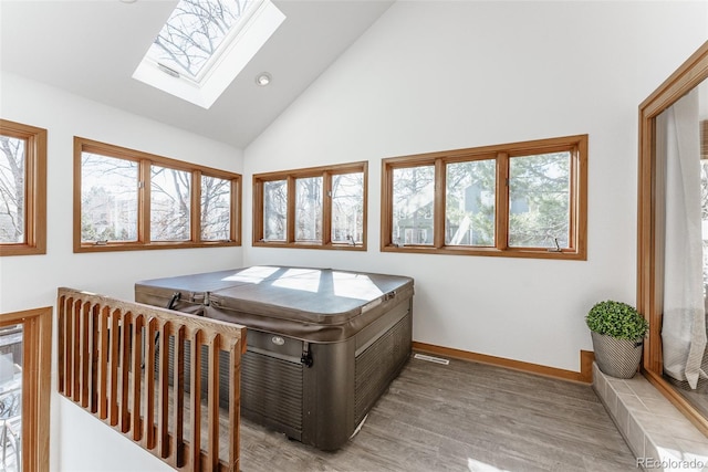 interior space with vaulted ceiling with skylight and plenty of natural light