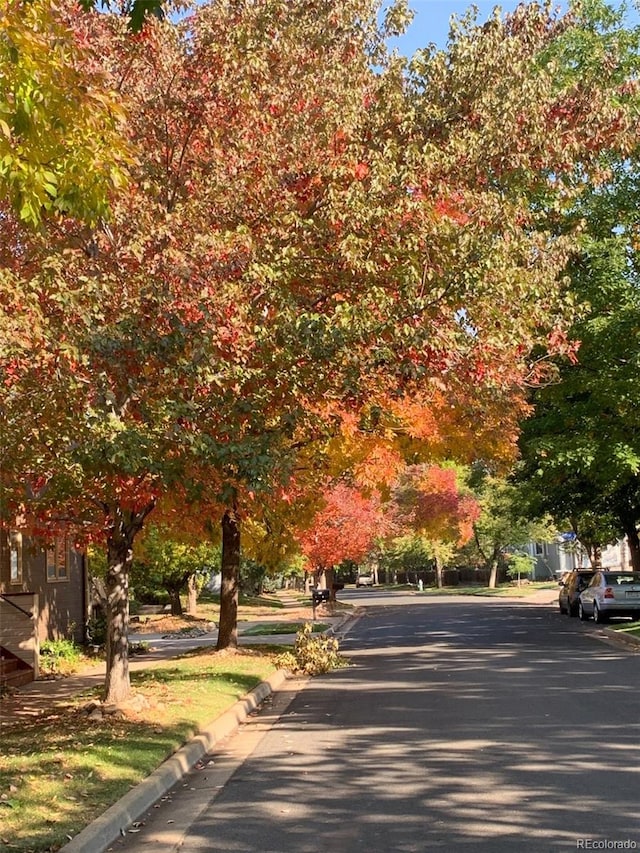 view of road with curbs