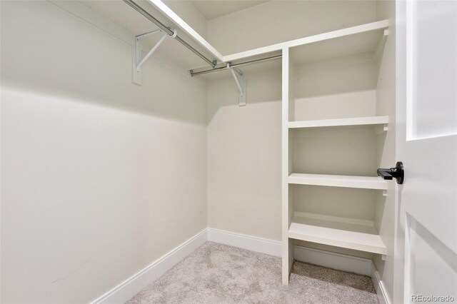 1563 N Hooker St, Denver, CO 80204 - spacious closet with carpet floors