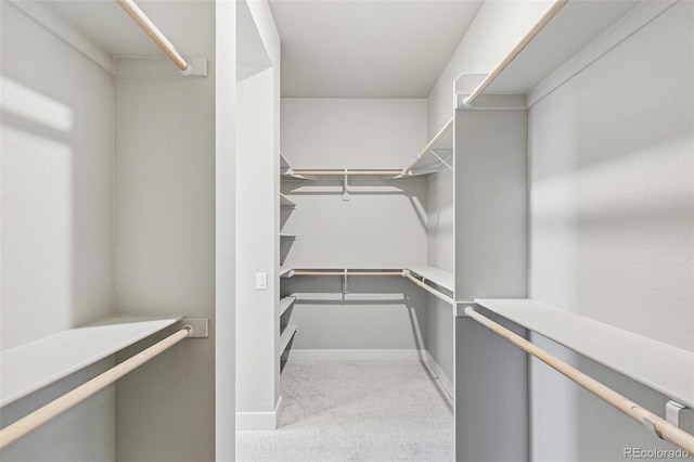 spacious closet with light colored carpet