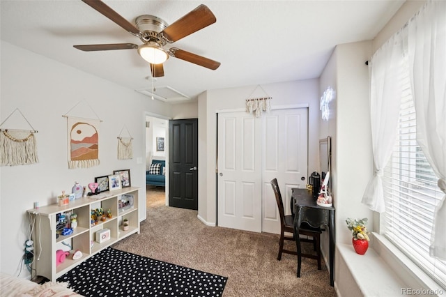 17310 E 104th Pl, Commerce City, CO 80022 - photo 19