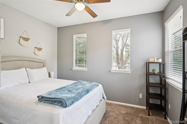 17310 E 104th Pl, Commerce City, CO 80022 - photo 20