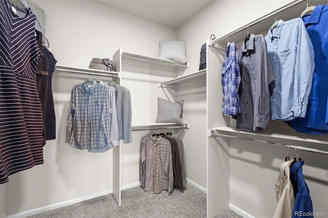 22374 E 49th Pl, Aurora, CO 80019 - spacious closet with carpet floors