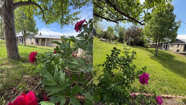 13010 W 6th Pl, Golden, CO 80401 - view of green lawn