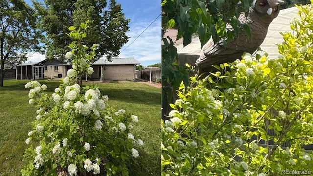 13010 W 6th Pl, Golden, CO 80401 - view of yard