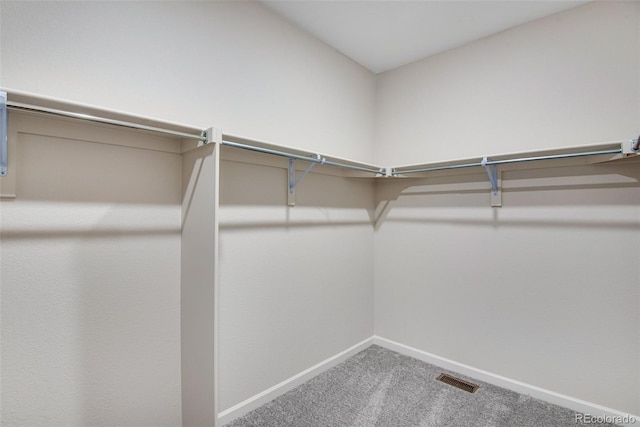 walk in closet with carpet floors