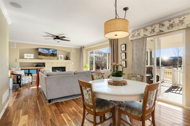 dining area featuring ceiling fan, dark hardwood / wood-style flooring, crown molding, and a fireplace