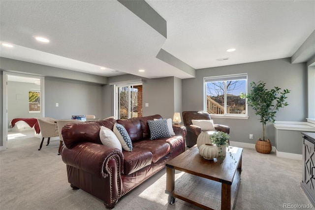 carpeted living room with a wealth of natural light