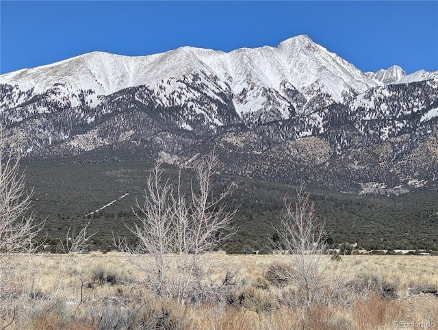 LOT10 Mm 14th St, Blanca CO, 81123 land for sale