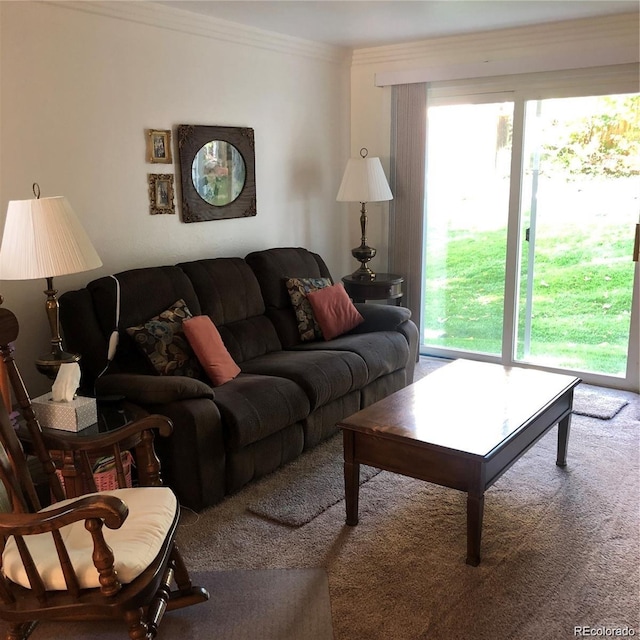 995 W Peakview Cir, Littleton, CO 80120 - carpeted living room featuring healthy amount of natural light and ornamental molding