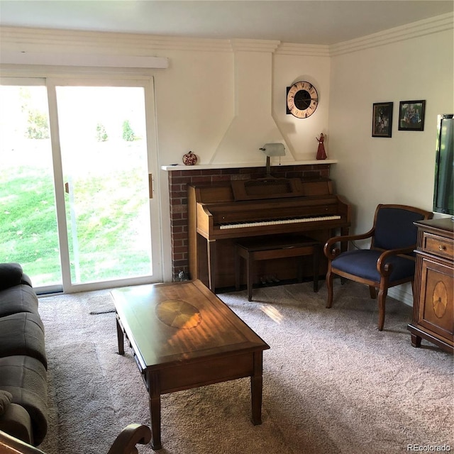 995 W Peakview Cir, Littleton, CO 80120 - carpeted living room featuring ornamental molding