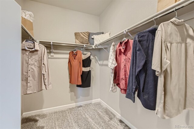 1320 Loraine Cir N, Lafayette, CO 80026 - walk in closet with carpet floors