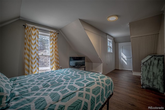 bedroom with dark hardwood / wood-style flooring and lofted ceiling