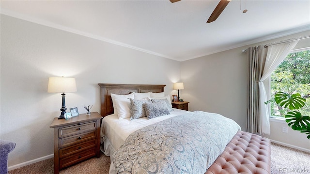11803 Xavier Ct, Westminster, CO 80031 - photo 15