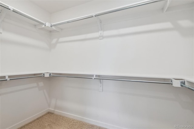 walk in closet featuring light colored carpet