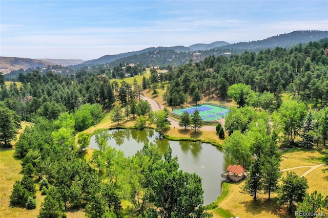 bird's eye view featuring a water and mountain view