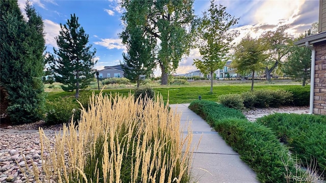 15362 W 66th Ave Unit D, Arvada, CO 80007 - view of home's community