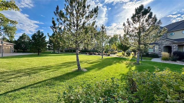 15362 W 66th Ave Unit D, Arvada, CO 80007 - view of green lawn