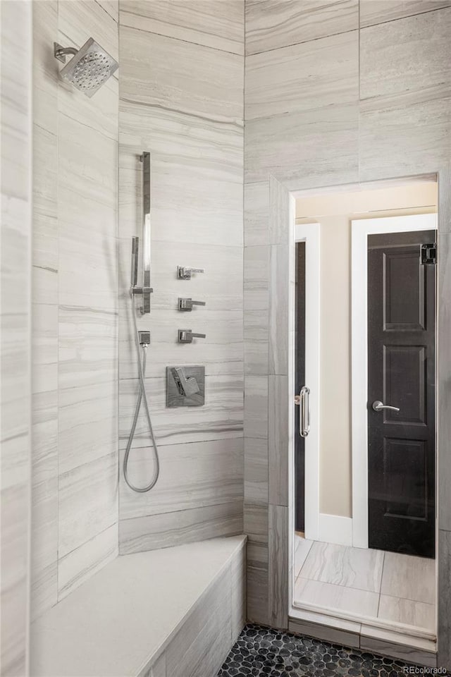 3255 S Birch St, Denver, CO 80222 - bathroom with a tile shower