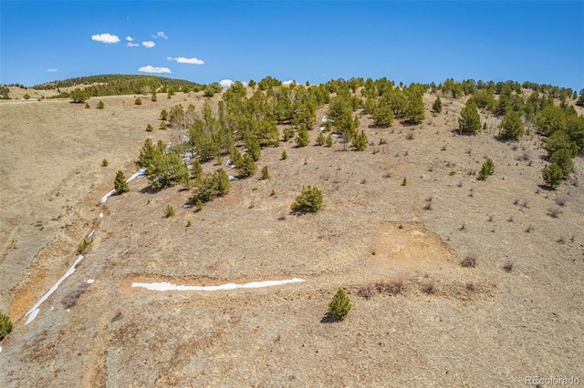 Listing photo 3 for 1538 County Road 1, Cripple Creek CO 80813