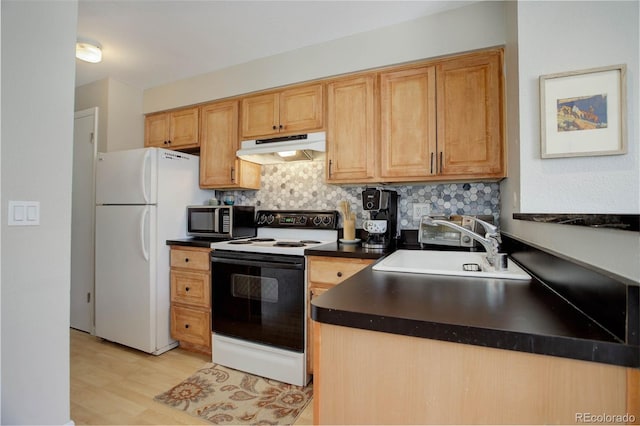 kitchen with under cabinet range hood, a sink, electric stove, freestanding refrigerator, and stainless steel microwave