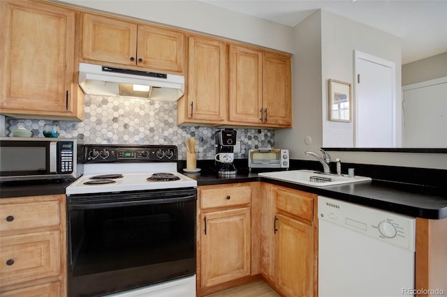 kitchen with electric range, dishwasher, stainless steel microwave, under cabinet range hood, and a sink