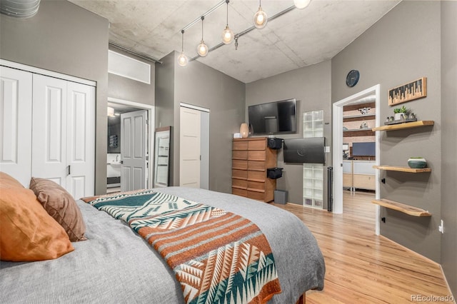 1499 Blake St Unit 4F, Denver, CO 80202 - bedroom with wood finished floors and multiple closets