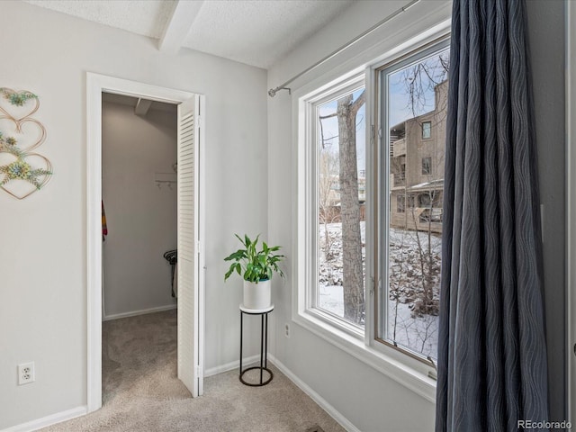 interior space with light carpet, a textured ceiling, baseboards, and a wealth of natural light