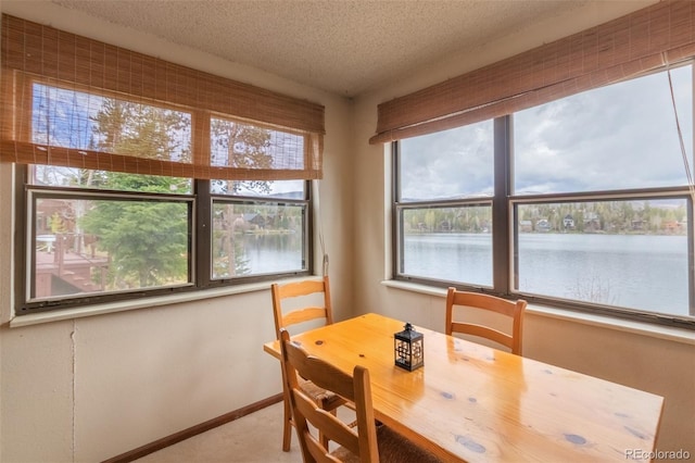 527 Gcr 494, Grand Lake, CO 80447 - carpeted dining space featuring plenty of natural light, a textured ceiling, a water view, and baseboards