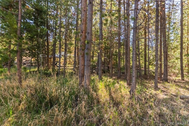 527 Gcr 494, Grand Lake, CO 80447 - view of wooded area