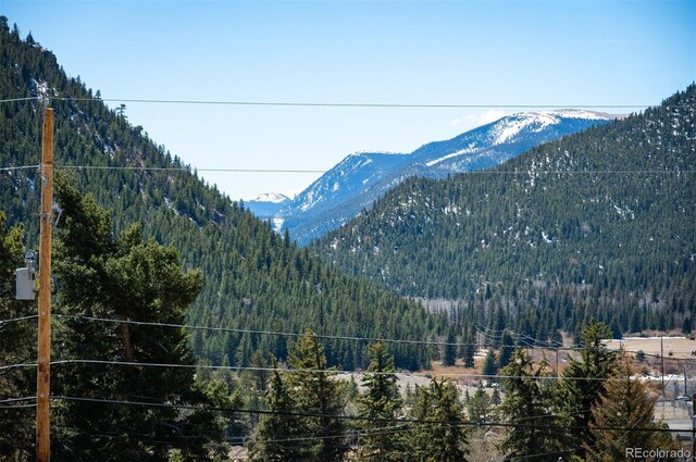 LOT3 Sunny Ave, Empire, CO 80438 - photo 24