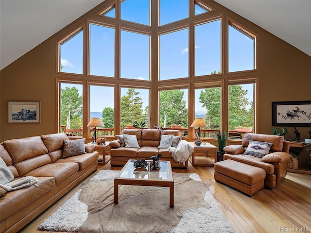 13094 Molly Dr, Conifer, CO 80433 - living room with high vaulted ceiling and light wood finished floors