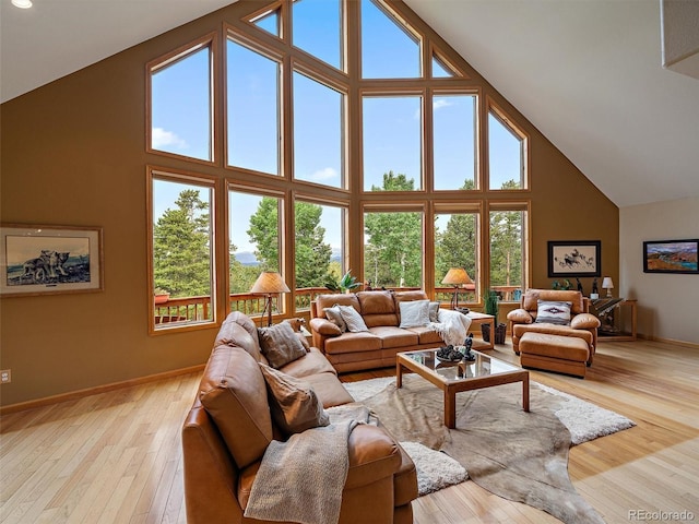 13094 Molly Dr, Conifer, CO 80433 - living area featuring high vaulted ceiling, plenty of natural light, and light wood-style floors