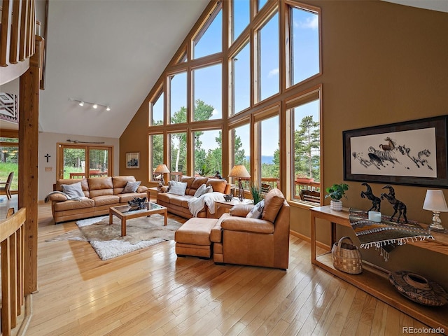 13094 Molly Dr, Conifer, CO 80433 - living area featuring high vaulted ceiling, plenty of natural light, light wood-type flooring, and rail lighting